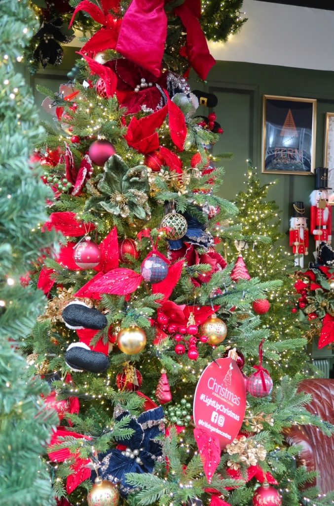 british-garden-centres-christmas-range