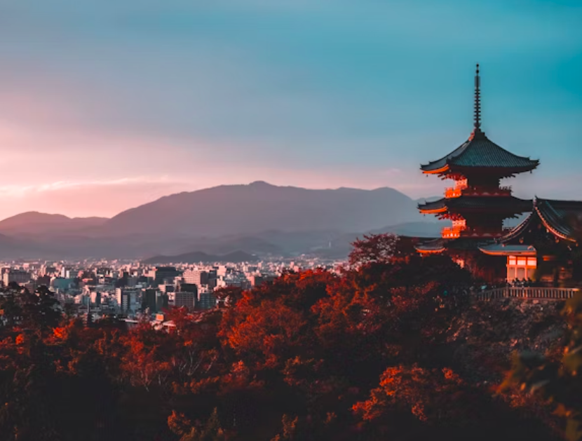 tokyo-travel-guide