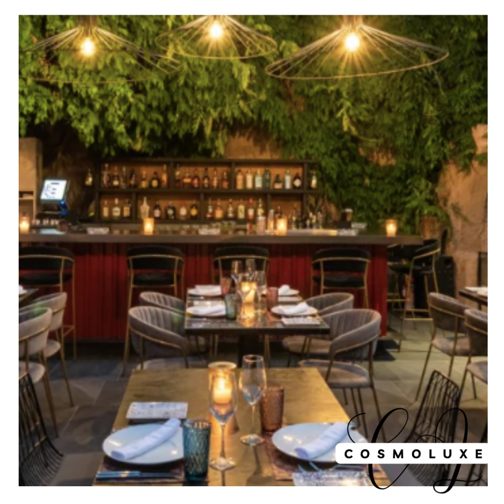 nomad-mediterranean-gastronomy